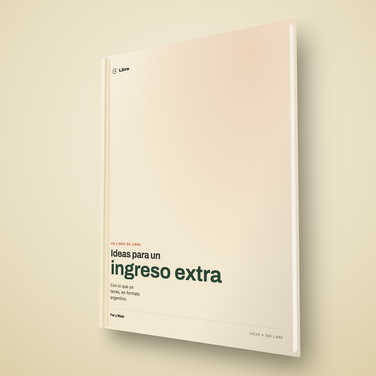 Ideas para ingresos extra → 20 formas de generar un ingreso extra con lo que ya tenés